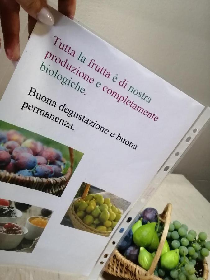 Casa Vacanze La Ca Del Cunfec Σόντριο Εξωτερικό φωτογραφία